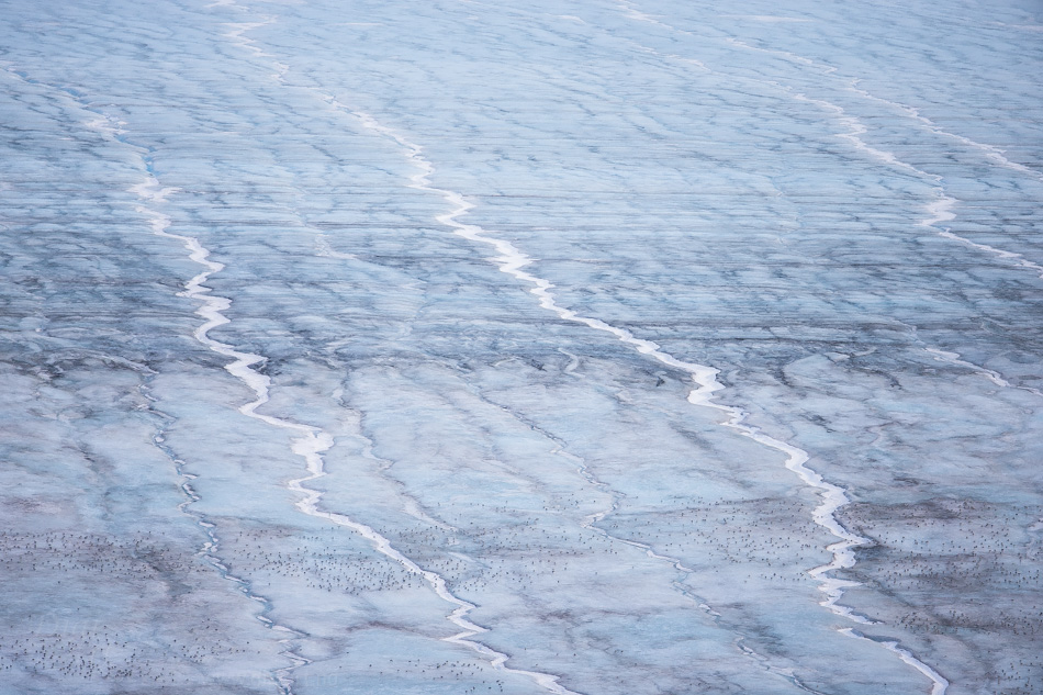 Icepattern | Ismønster